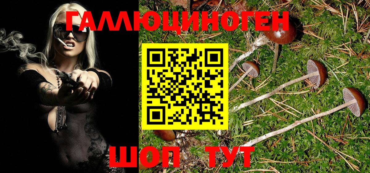 Белебей  Псилоцибиновые грибы Magic Shrooms  Вход с VPN 